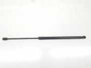Gasdruckfedern Set Hinten 51247127875 BMW 3 serie Touring (E91) Kombi 330Xd 24V (N57-D30A) 2008