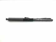 Gasdruckfeder Hinten 51247397322 BMW X3 (G01) SUV sDrive 18dA Steptronic 2.0 16V (B47-D20B) 2019