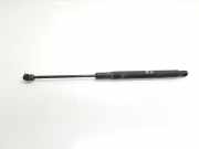 Gasdruckfeder Set Vorne A2059800164 Mercedes-Benz C (W205) Limousine C-220 2.2 CDI BlueTEC, C-220 d 16V (OM651.921)