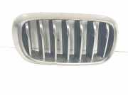 Grill Gitter Rechts 51137349388 BMW X6 (F16) SUV xDrive30d 3.0 24V (N57-D30A) 2014