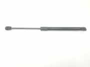 Gasdruckfeder Hinten 8731J6 Peugeot 407 SW (6E) Kombi 2.0 HDiF 16V (DW10BTED4(RHR)) 2005