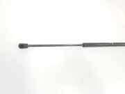 Gasdruckfedern Set Hinten 51247127875 BMW 3 serie Touring (E91) Kombi 318d 16V (N47-D20C) 2008