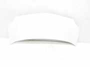 Motorhaube 7751478148 Renault II FKW0 Authentique