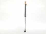 Gasdruckfedern Set Hinten 6895002140 Toyota Auris (E18) Schrägheck 5-drs 1.8 16V Hybrid (2ZRFXE) 2014