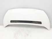 Motorhaube 7901N1 Peugeot Expert (G9) Van 2.0 HDi 120 (DW10UTED4(RHK)) 2008