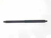 Gasdruckfedern Set Hinten 51247294199 BMW X5 (E70) SUV xDrive 35d 3.0 24V (N57-D30A) 2011