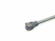 Gasdruckfedern Set Hinten 654702264R Renault Kangoo Express (RFK) Van 1.5 Blue dCi 115 (K9K-876)