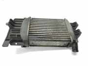 Ladeluftkühler 179400N090 Toyota Yaris III (P13) Schrägheck 1.4 D-4D-F (1NDTV) 2012