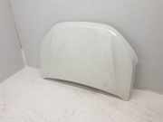 Motorhaube 651004113R Dacia Sandero III Schrägheck 1.0 TCe 90 12V (H4D-470(H4D-E4))