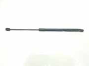 Gasdruckfeder Vorne 4L0823359 Audi Q7 (4LB) SUV 3.0 TDI V6 24V (BUG) 2007