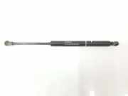 Gasdruckfeder Vorne 46739202 Alfa Romeo 1.9 JTD 16V (150 CV) 2007