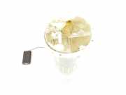 Vorförderpumpe 9815895380 Citroën C3 (SX/SW) Schrägheck 1.2 Vti 12V PureTech (EB2F(HMZ)) 2017