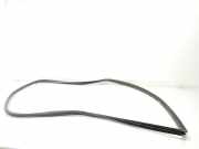 T?rgummis 6231260100B0 Toyota Land Cruiser (J12) Hardtop Gel?ndewagen 3.0 D-4D 16V (1KDFTV) 2006