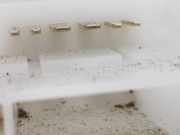 Vorförderpumpe 172024944R Renault Twingo III (AH) Schrägheck 5-drs 1.0 SCe 75 12V (B4D-403(B4D-D4)) 2019