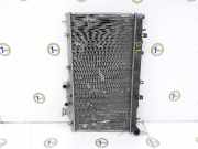 Radiator 45119AG080 Subaru S12SH Executive 2008