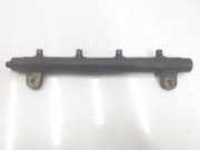 Einspritzdüsen Düsenstock 368DT Land + Range Rover Range Rover III (LM) Geländewagen 3.6 TDV8 32V (368DT) 2007