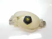 Ausgleichbehälter 217100015R Renault Master III (EV/HV/UV/VA/VB/VD/VF/VG/VJ) Chassis-Cabine 2.3 dCi 170 16V (M9T-706(M9T-D7)) 2018