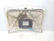 Motorhaube 651007F030 Nissan Terrano II (R20/TR50) Geländewagen 2.7 SE TD (TD27T)