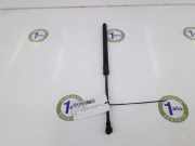 Gasdruckfeder Hinten 51247060622 BMW 2.0 16V D (163 CV) 2004