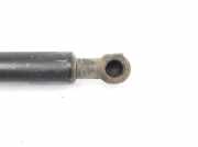 Gasdruckfeder Hinten 51243400379 BMW X3 (E83) SUV 2.0d 16V (N47-D20A) 2008