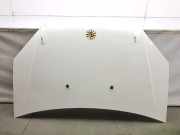Motorhaube 51841326 Fiat Doblo Cargo (223) Van 1.3 D 16V Multijet (199.A.2000) 2006