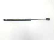 Gasdruckfeder Set Vorne 654709269R Renault Koleos II (RZGH) SUV 1.3 TCE 160 FAP 16V (H5H-E4) 2017