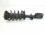 Stoßdämpfer Links Vorne 31316764599 BMW X5 (E53) SUV 3.0d 24V (M57N-D30(306D2)) 2006