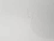 Tür Rechts Vorne 1430132 Ford Focus 1 Wagon Kombi 1.8 TDCi 115 (F9DA) 2001