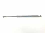 Gasdruckfedern Set Hinten 51244365788 BMW 3 serie (E90) Limousine 320i 16V (N46-B20B) 2005