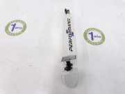 Türgriff Außen Rechts Vorne 51217326918 BMW M4 (F82) Coupé M4 3.0 24V TwinPower Turbo (S55-B30A) 2014