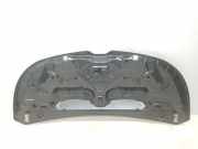 Motorhaube 651224338R Renault L1H1 29t Komfort