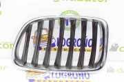 Grill Gitter Links 51112993305 BMW X1 (E84) SUV sDrive 20d 2.0 16V (N47-D20C) 2009
