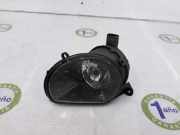 Nebelscheinwerfer Links 8P0941699A Audi Q7 (4LB) SUV 3.0 TDI V6 24V (BUG) 2006