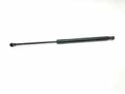 Gasdruckfedern Set Hinten 7239871 BMW 1 serie (F20) Schrägheck 5-drs 116d 1.6 16V Efficient Dynamics (N47-D16A) 2012