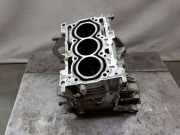 Motorblock 46341162 Fiat 500 (312) Schrägheck 1.0 Hybrid (46341162)