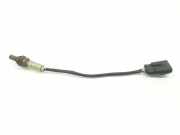 Lambdasonde 55202416 Ford Focus 1 Schrägheck 1.6 16V (FYDA) 1999