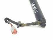 Gasdruckfedern Set Hinten L1TBS404C84AB Ford Puma SUV 1.0 Ti-VCT EcoBoost Hybrid 12V (BZJA)