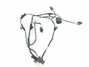 Kabelbaum PDC 6F9971251B Seat Ibiza V (KJB) Schrägheck 5-drs 1.0 TSI 12V (DLAA) 2023