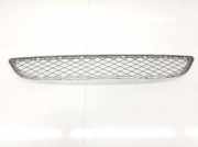 Grill BUMPER 51117176282 BMW X6 (E71/E72) SUV xDrive30d 3.0 24V (N57-D30A) 2010