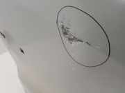 Tür Rechts Vorne 801005445R Renault L1H1 29t Komfort