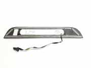 Zierleiste ZIJKANT 4G0947423G Audi RS 6 Avant (C7) Kombi 4.0 V8 TFSI (CRDB)