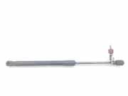 Gasdruckfeder Set Vorne 9686809680 DS DS 5 Schrägheck 2.0 BlueHDi 180 16V (DW10FC(AHW)) 2015 DW10FC(AHW)