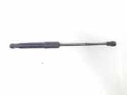 Gasdruckfeder Set Vorne 93460596 Opel Vivaro Van 1.6 CDTI 95 Euro 6 (R9M-413(R9M-H4)) 2018