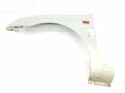 Kotflügel Links Vorne 7701473025 Renault Clio II (BB/CB) Schrägheck 1.2 (D7F-726)