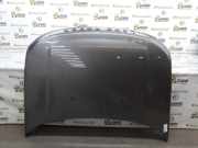 Motorhaube BKA780110 Land + Range Rover Discovery III (LAA/TAA) Geländewagen 2.7 TD V6 (276DT) 2007