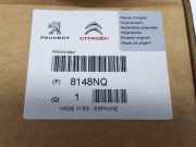 Außenspiegel Rechts 8148NQ Citroën Jumpy (U64) Großraumlimousine 1.9TD (XUD9TF-Y(DHX-1)) 1995