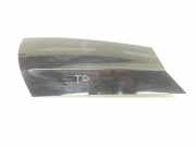 Zierleiste ACHTER LR061128 Land + Range Rover Discovery Sport (LC) Geländewagen 2.0 TD4 180 16V (204DTD) 2017
