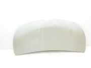 Motorhaube 651224338R Renault L1H1 29t Komfort