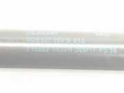 Gasdruckfedern Set Hinten 5G6827550G Volkswagen VII BERLINA BQ1BE2 Advance