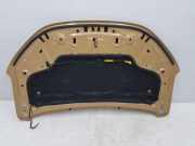 Motorhaube 651004113R Dacia Sandero III Schrägheck 1.0 TCE 110 12V (H5D-C4)